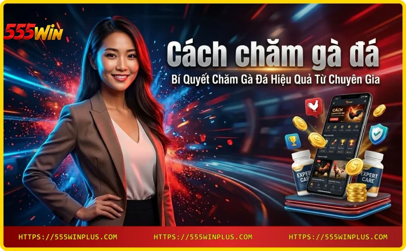 Chế độ dinh dưỡng cho gà đá - thóc, rau xanh, mồi tươi
