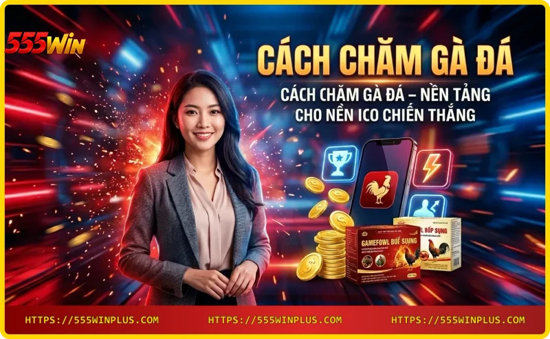 Chiến kê khỏe mạnh - nền tảng cách chăm gà đá