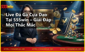Hai chiến kê đối đầu trong trận Live Đá Gà Cựa Dao kịch tính