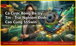 Lợi ích cá cược bóng đá tại 555win - giao diện cược trên thiết bị di động