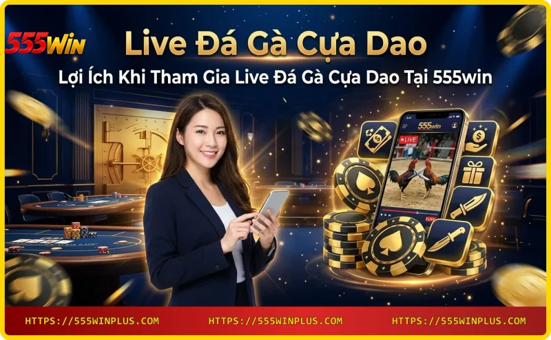 Tham gia Live Đá Gà Cựa Dao trên 555win với nhiều ưu đãi hấp dẫn