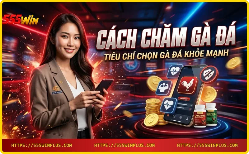 Tiêu chí chọn gà đá khỏe mạnh - ngoại hình và thể lực